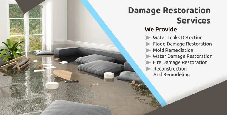 #bslide1 logo-image - banner-1