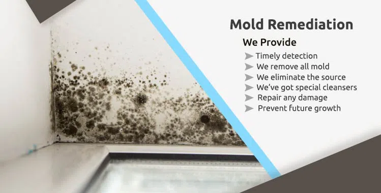 #bslide2 logo-image - banner-2